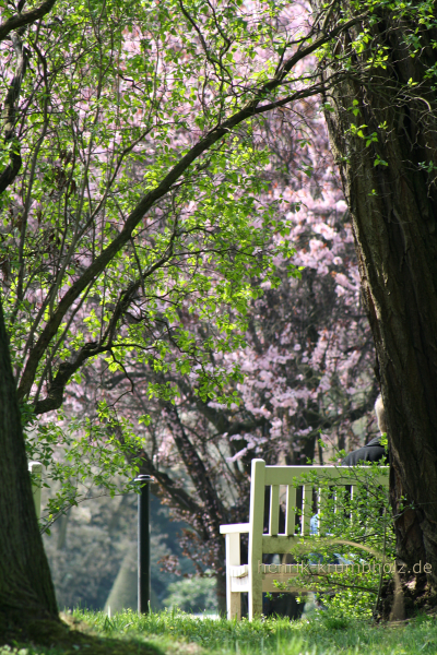 Großer Garten